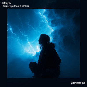 Letting Go by Shipping Dpartment, Zashimi