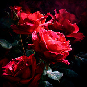 Shadows & Roses by Neon AJ