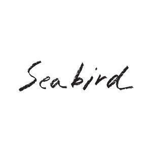Seabird by The Nice Nice