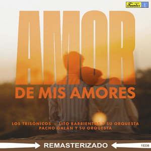 Amor de Mis Amores
