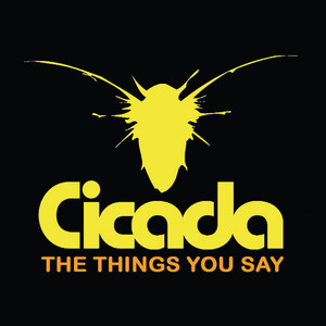 The Things You Say - Radio Edit by Cicada