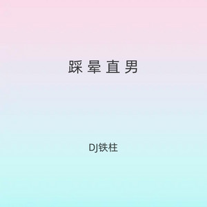 DJ Tie Zhu - 踩晕直男 (DJ舞蹈慢摇)