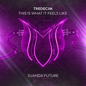 This Is What It Feels Like by TREDECIM