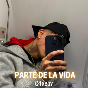 PARTE DE LA VIDA by C4rboy