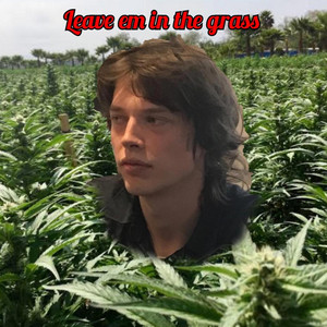 Leave em in the grass by Siggy RettS