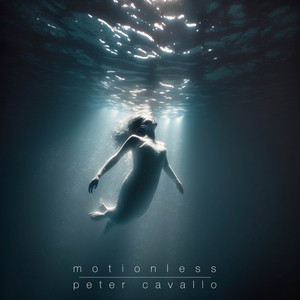 Motionless by Peter Cavallo