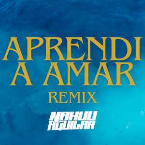 Aprendi a Amar - Remix by Nahuu Aguilar