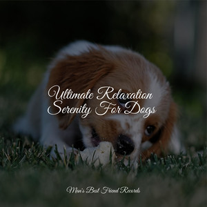 Ultimate Relaxation Serenity For Dogs album