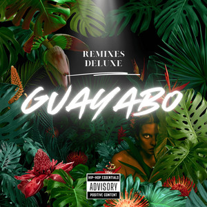 Remixes Deluxe - GUAYABO TECH (Va Colgando De Un Hilito) [Extended]