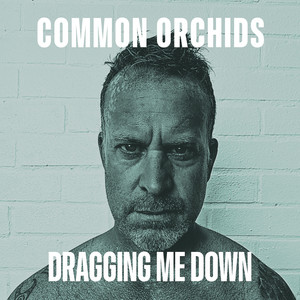 Dragging Me Down by Common Orchids