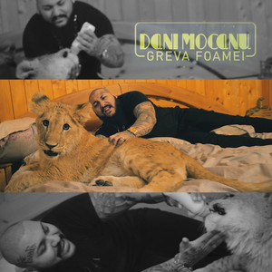 Dani Mocanu - Greva foamei