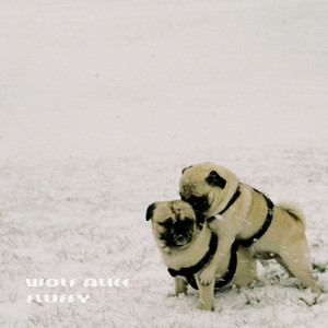 White Leather - song and lyrics by Wolf Alice | Spotify