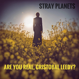 Stray Planets - Your Revolution