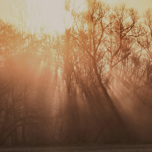 Morning Frequencies by Nachtgarten