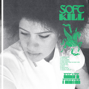 Come Hang From The Roof Tops by Soft Kill