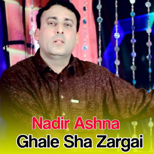 Nadir Ashna - Ghale Sha Zargai