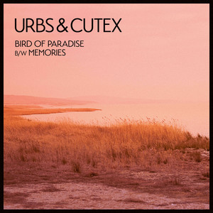 Urbs & Cutex | Spotify