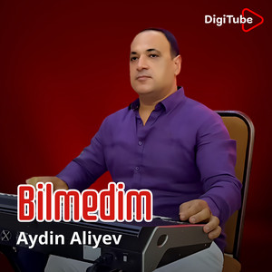 Aydin Aliyev - Gələ Bilmədim Bağışla