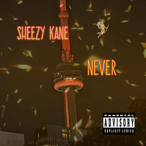 NEVER by Sheezy Kane