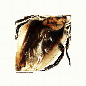 ROACH by wantedmissingfound