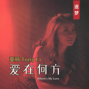 童丽Tong Li | Spotify