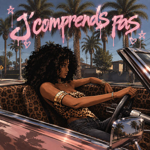 J'comprends pas by eleven