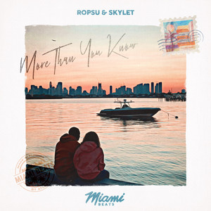 More Than You Know by Ropsu, Skylet