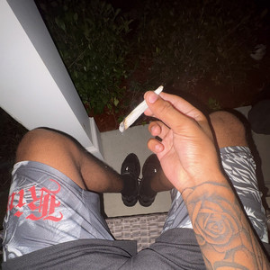 Puffin