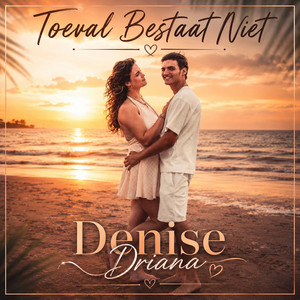 Toeval bestaat niet by Denise Driana