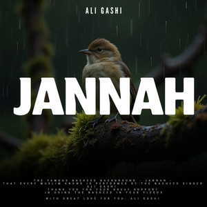 Ali Gashi - NASHEED JANNAH (REVERB + RAIN + BIRDS)