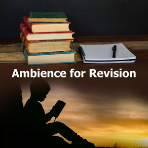 Ambience for Revision