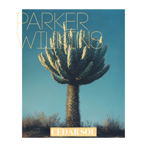 Cedar Sol by Parker Wilkins