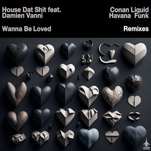 Wanna Be Loved (feat. Damien Vanni) [Conan Liquid Remix]
