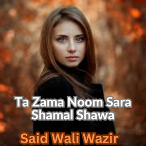 Said Wali Wazir - Ta Zama Noom Sara Shamal Shawa