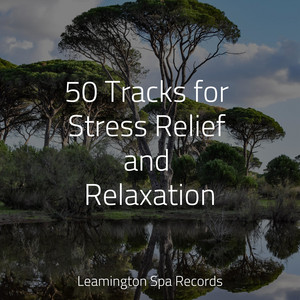 50 Tracks for Stress Relief and Relaxation album