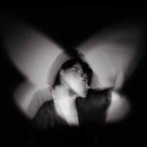 Michelle Bouey - Butterflies