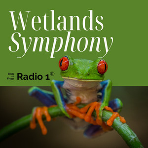 Wetlands Symphony