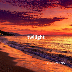 twilight by EVERGREENS
