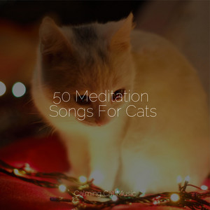 50 Meditation Songs For Cats album
