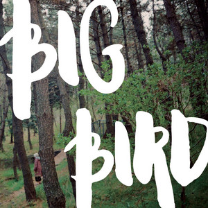 Big Bird by Darin