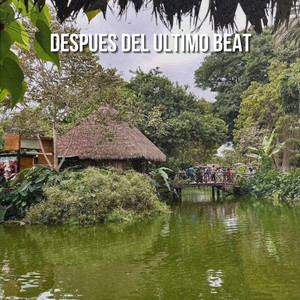 Despues del Ultimo Beat by Nicolas Rey