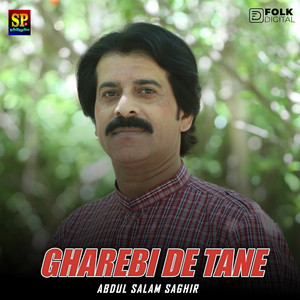 Abdul Salam Sagar - Gharebi De Tane