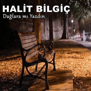 Halit Bilgiç - Dağlara Mı Yazdın