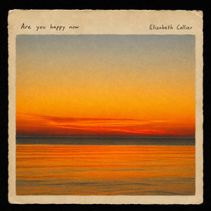 Are you happy now by Elizabeth Collier