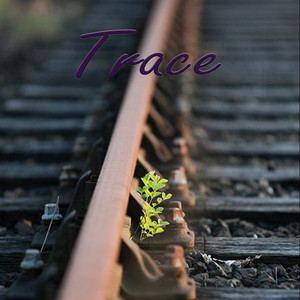 Trace by Naya Vael