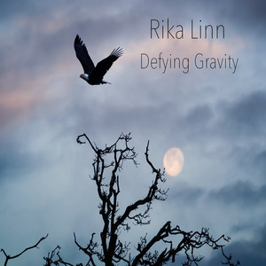 Defying Gravity by Rika Linn