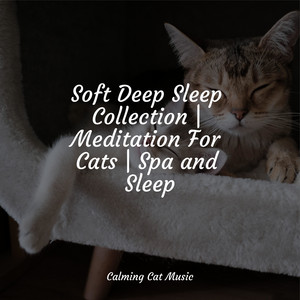 Soft Deep Sleep Collection | Meditation For Cats | Spa and Sleep album