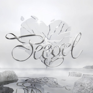 Peegel by BLIX