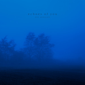 echoes of you - slowed