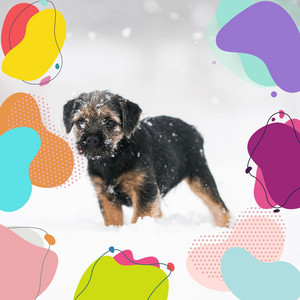 Energetic Ambiance for Doggy Nap Time album